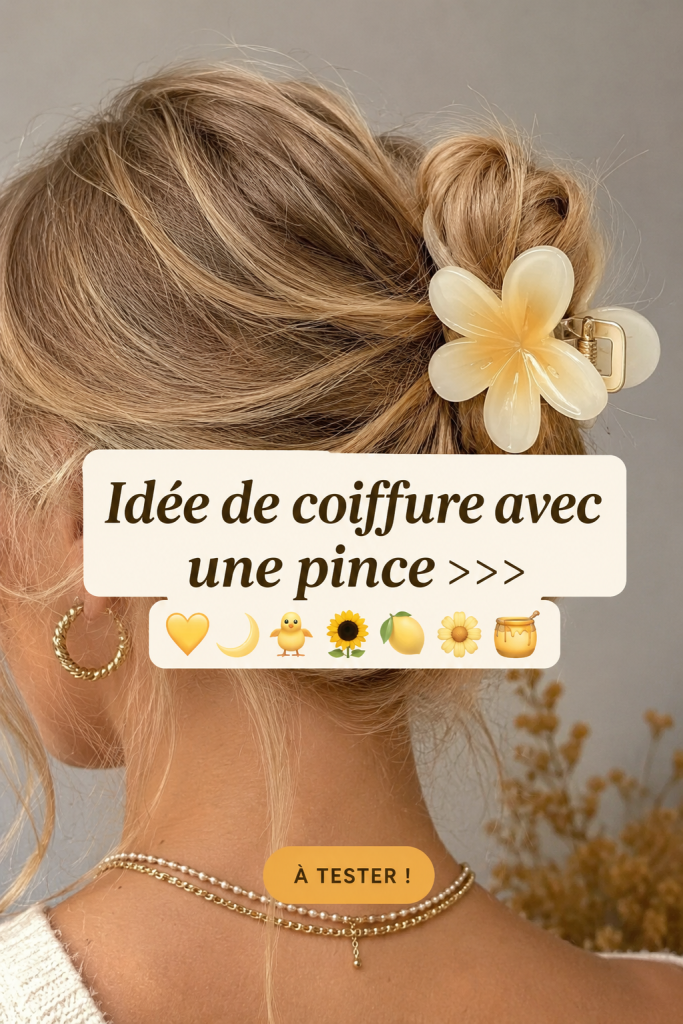 Coiffure élégante avec une pince à cheveux, mettant en avant un style chic et facile à réaliser.
