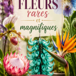 Bouquet de fleurs rares et magnifiques aux couleurs vibrantes dans un jardin